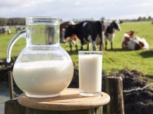 Молоко прямиком с фермы к вашему столу