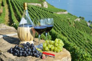 Вино: от чего зависит выбор