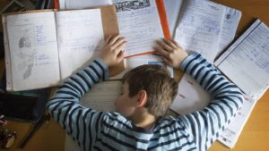 Помощь при решении домашнего задания для школьников