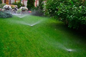 Преимущества систем полива газона: эффективность, экономия воды и улучшение здоровья газона