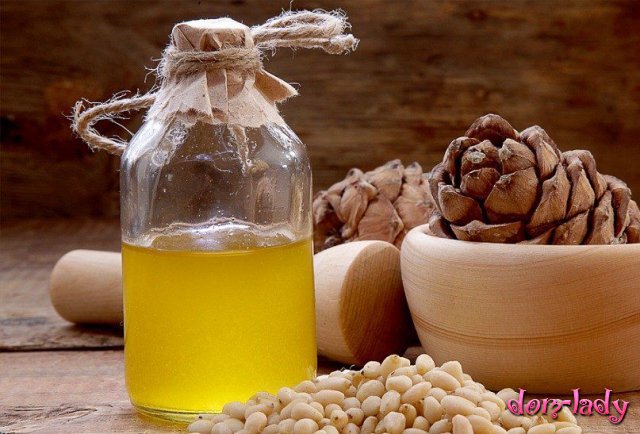 Полезные свойства кедрового масла и его применение в народной медицине
