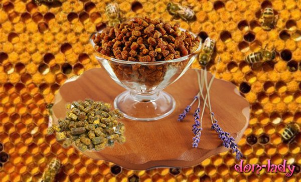 Как правильно употреблять пчелиную пергу?