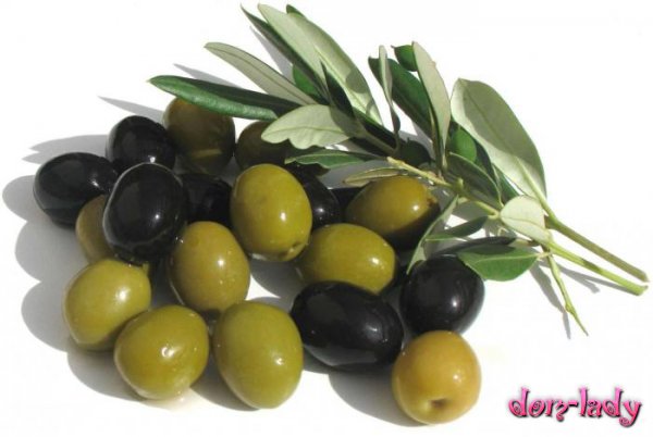 Полезные свойства маслин