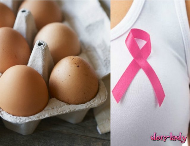 Куриные яйца спасают от рака груди?