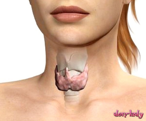 Коллоидные кисты обеих долей щитовидной железы - как лечить