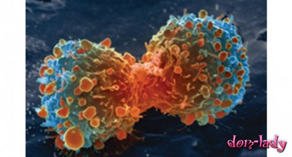 Почему раковые клетки не уничтожают сами себя