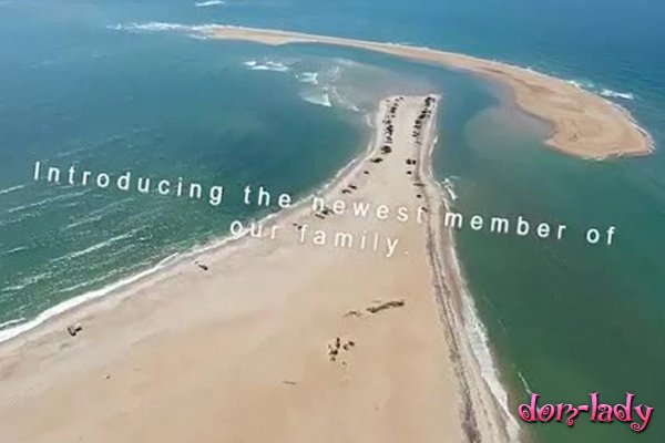 Ставший туристическим хитом новый остров в США сняли на видео