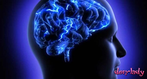 Новые биомаркеры могут обнаружить повреждения мозга без сканирования