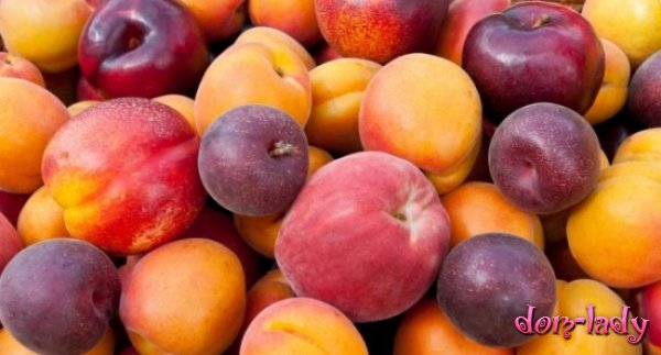 Абрикосы и яблоки защищают от рака
