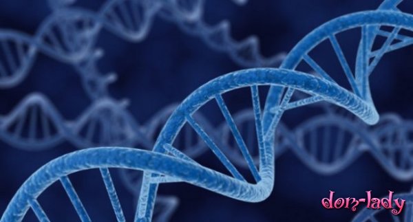 Ученые обнаружили ген мужского бесплодия
