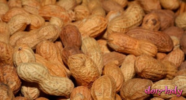 Аллергию на арахис можно лечить - исследование