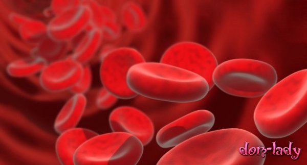 Как можно повысить уровень гемоглобина в крови?