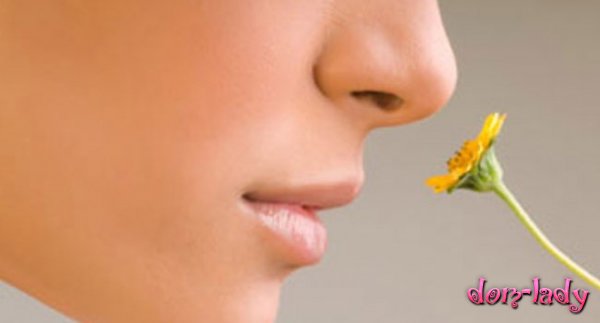 Потеря чувствительности к запахам может быть симптомом болезни Паркинсона