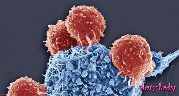 Ученые создали антитела, способные побороть ВИЧ