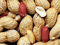 Австралийские ученые совершили прорыв в лечении смертельной аллергии на арахис
