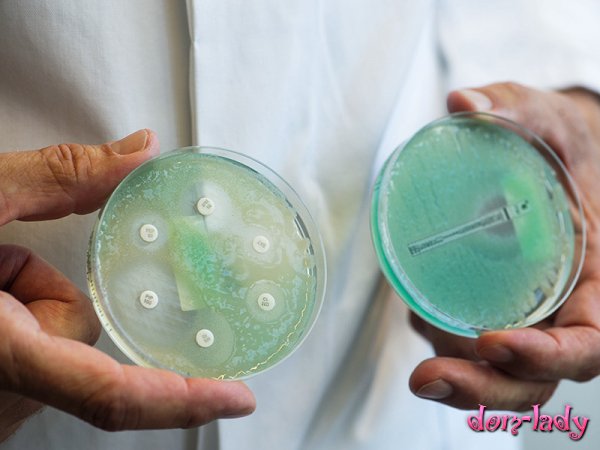 Биологи узнали, почему антибиотики иногда ухудшают течение инфекций