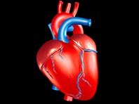 Новый метод поможет определить риск образования тромбов в сердце
