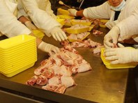 Мясо птицы на российском рынке не прошло проверку безопасности