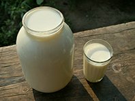 Активировать мозг и замедлить старение поможет обычное молоко