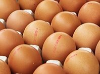 Яйца уменьшают вероятность инсульта, показало исследование