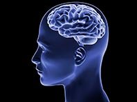 Стимуляция мозга способна повысить выносливость