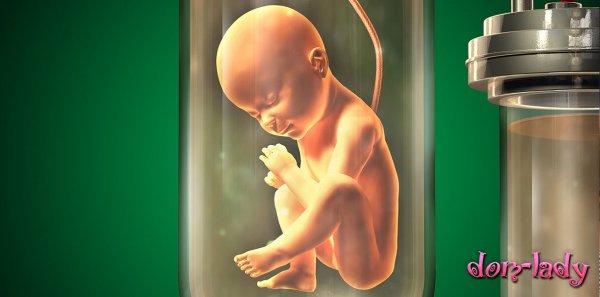 Искусственный эмбрион - новая реальность от британских ученых