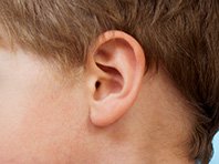 Впервые в мире хирурги пересадили уши, напечатанные на 3D-принтере