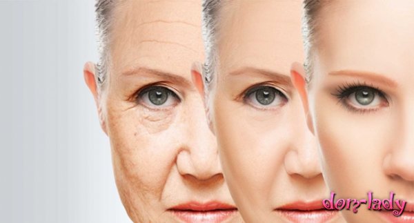 Ученые нашли новый способ борьбы со старением