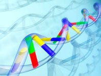Редактирование генома избавит от генетических заболеваний крови