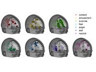 Неврологи смогли составить карту эмоций в человеческом мозге