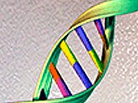 Генетики показали, как можно получить синтетическую ДНК