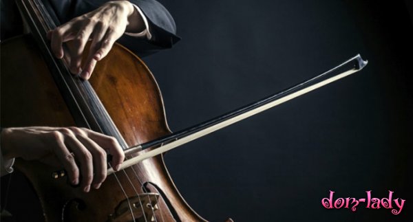 Игра на виолончели благотворно воздействует на головной мозг