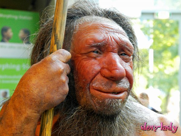 Ученые искусственно создали мозг неандертальцев