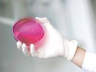 Врачи выявили новую супербактерию среди половых инфекций