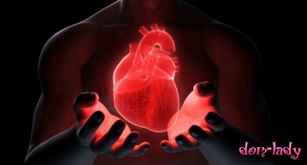 Новый протеин может способствовать регенерации сердца после приступа