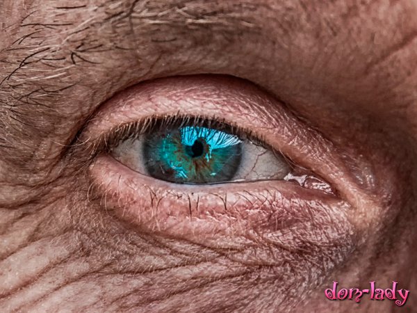 Новые капли для глаз обещают затормозить потерю зрения