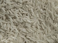 Изобретатели превратили обычный рис в фабрику по производству лекарств