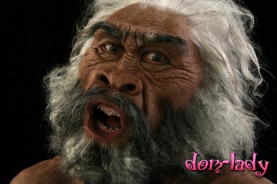Ученые: Homo erectus вымерли из-за лени