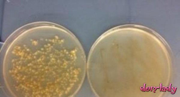 Ученые предложили новый способ борьбы с супербактериями, грибками и раком