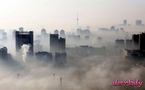 Загрязнение воздуха сокращает продолжительность жизни