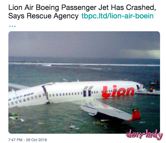 Крушение самолета Boeing 737 в Индонезии