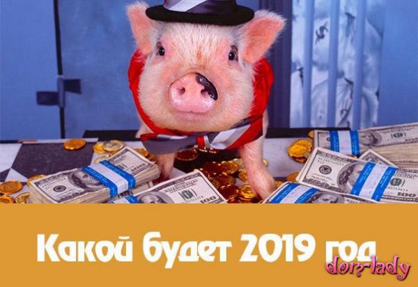 Гороскоп для всех знаков на 2019 год свиньи по годам рождения: что нас ждет в 2019 году 