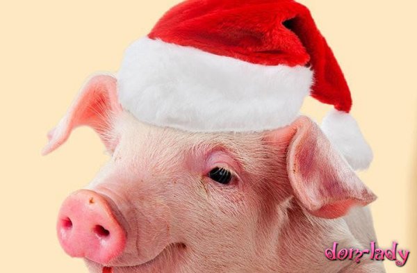 Новый год 2019: новогоднее меню, можно есть свинину или нет, как украсить стол 