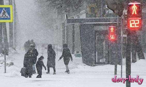 Снегопад в Москве: осадки, сколько снега сейчас, погода от Гидрометцентра на неделю, температура воздуха