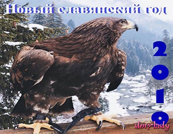 Парящий орел — Символ 2019 года по старославянскому календарю 