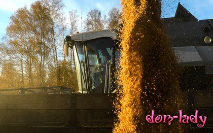 Низкий спрос обвалил цены на российское зерно