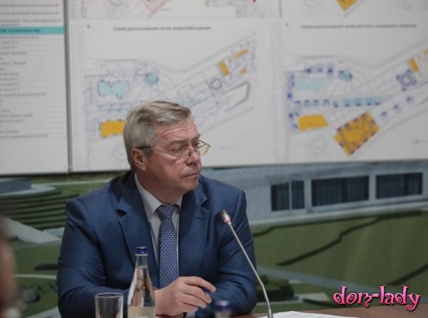 Губернатор Ростовской области ответил на обвинения Навального