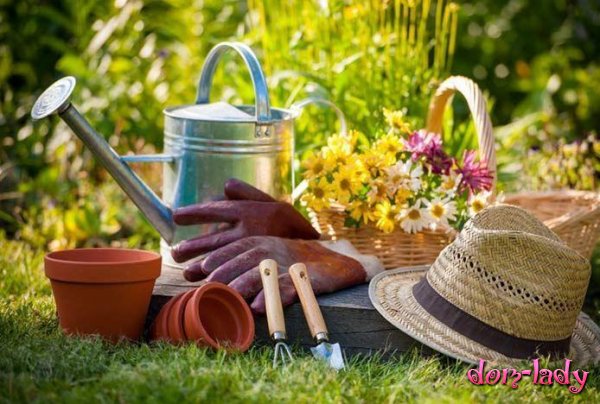 Календарь огородника и садовода июнь 2019 благоприятные дни для работы в огороде и саду, для полива и пересадки растений, советы