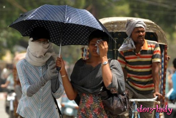 В Индии число погибших из-за аномальной жары возросло до 92