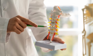 Остеопороз: разгадываем секреты ломких костей.